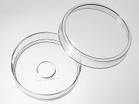 60mm 玻底皿(玻底培养皿，激光共聚焦专用培养皿)照片